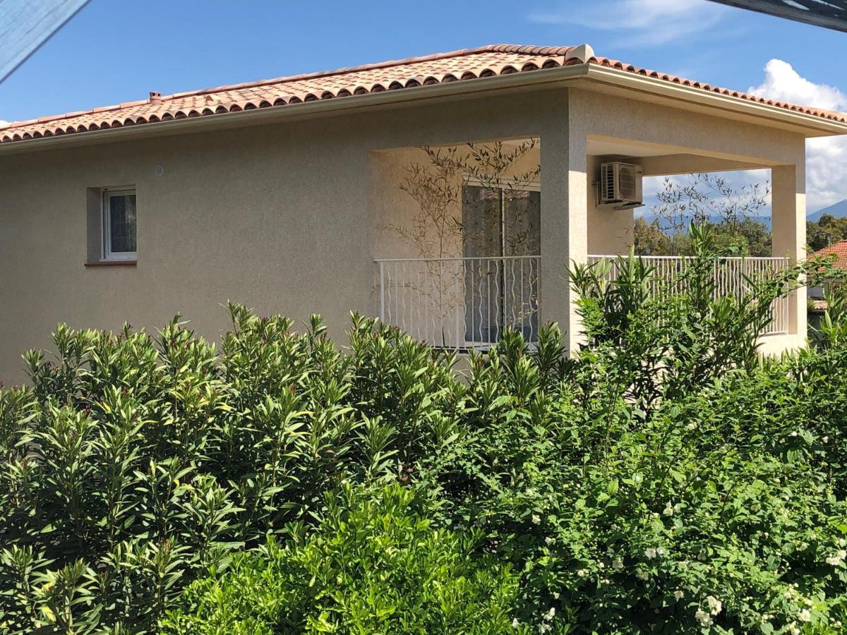 L'Alivu Villa Ajaccio  Luaran gambar