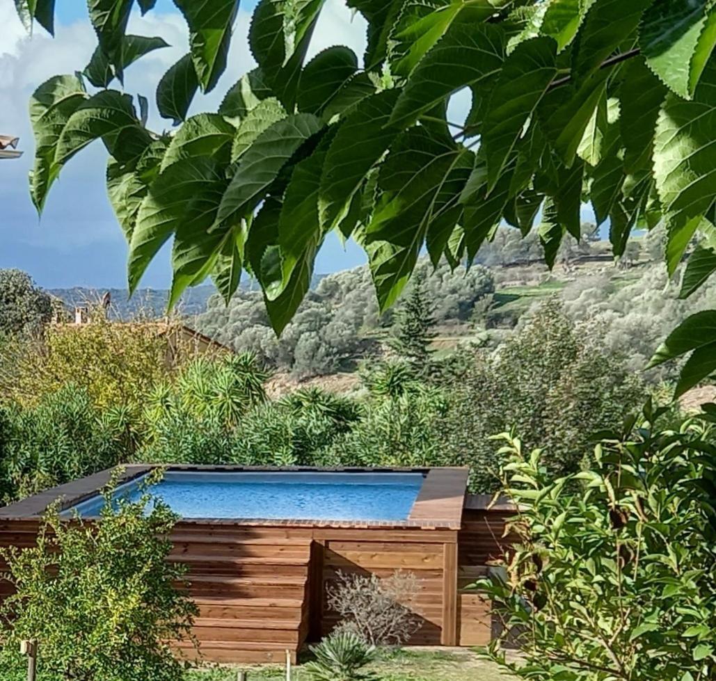 L'Alivu Villa Ajaccio  Luaran gambar